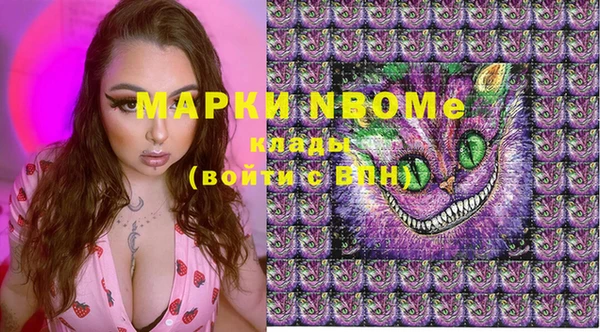 PSILOCYBIN Фёдоровский