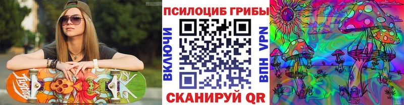 купить наркоту  Зубцов  Галлюциногенные грибы MAGIC MUSHROOMS 